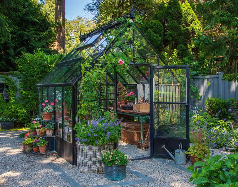 backyard greenhouse