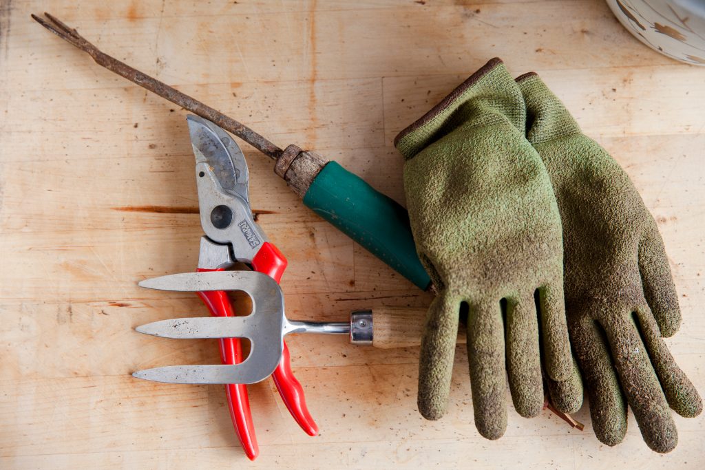 Well loved Gardener's tools on bench