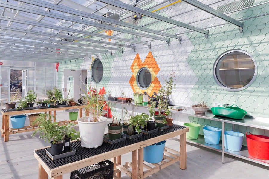 edible-schoolyard-w130214-i5