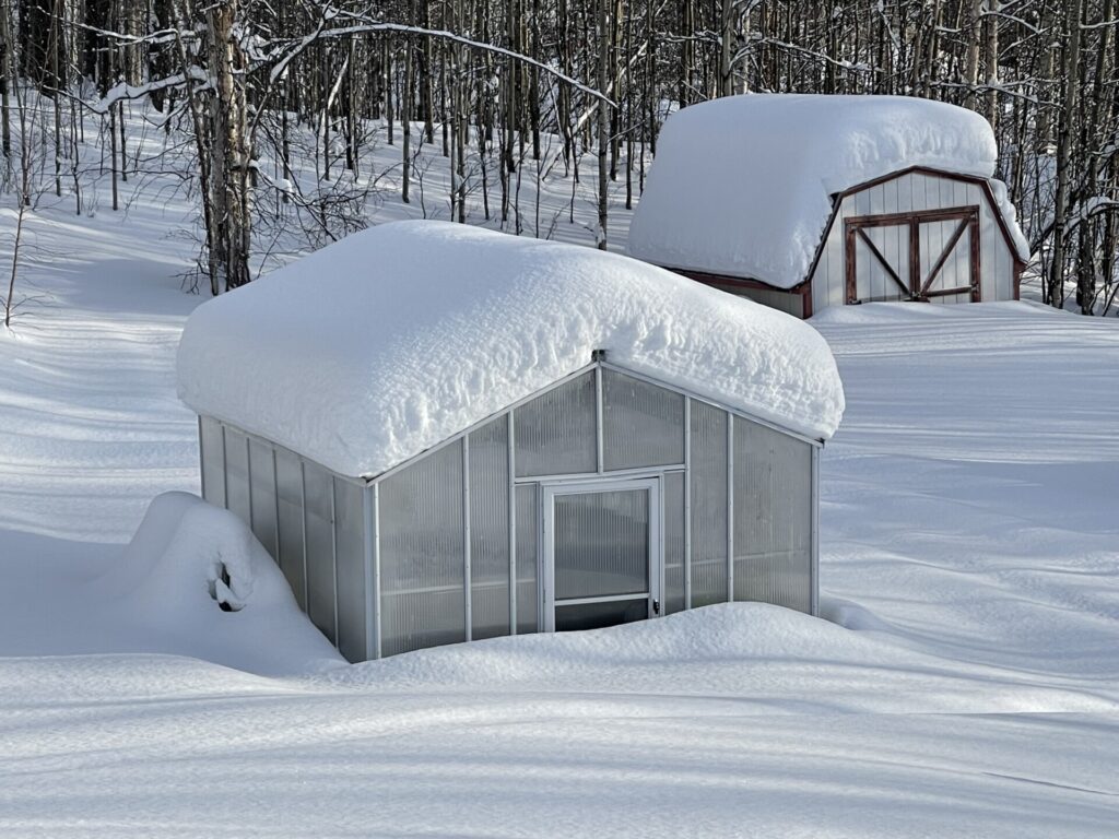 Cross Country Traditional Greenhouse with polycarbonate glazing under feet of winter snow