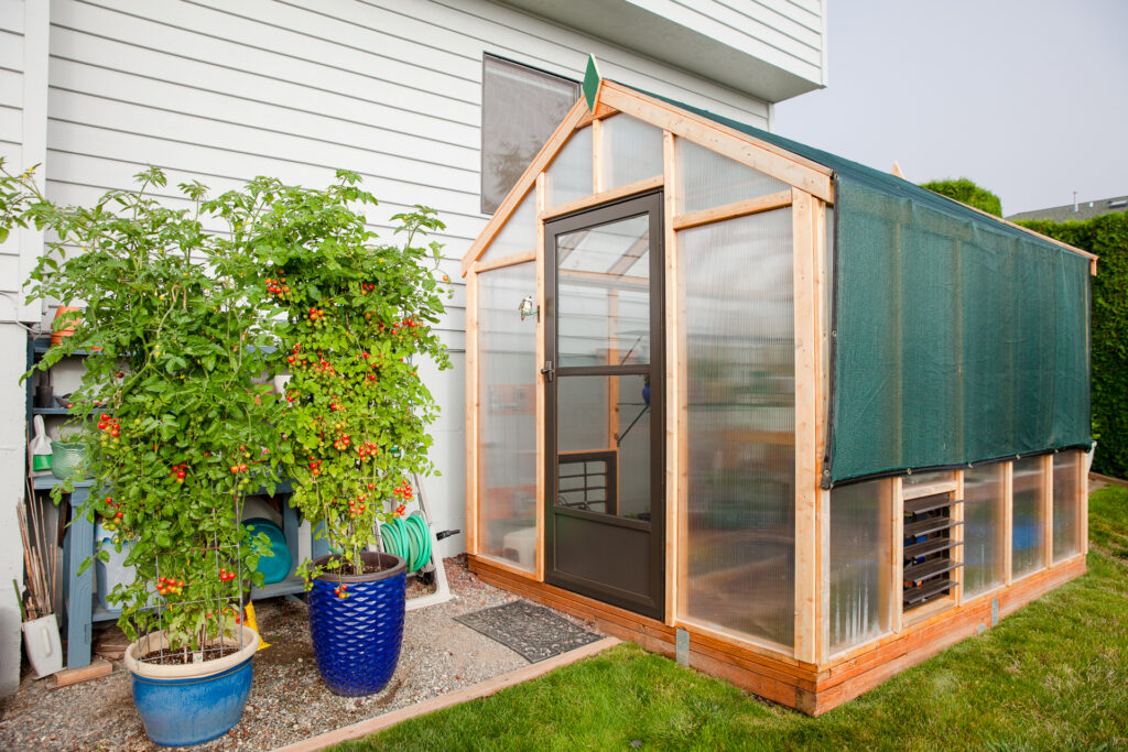 Charley's Woodland Cedar Heritage Greenhouse with share panel and operating exhaust fan system