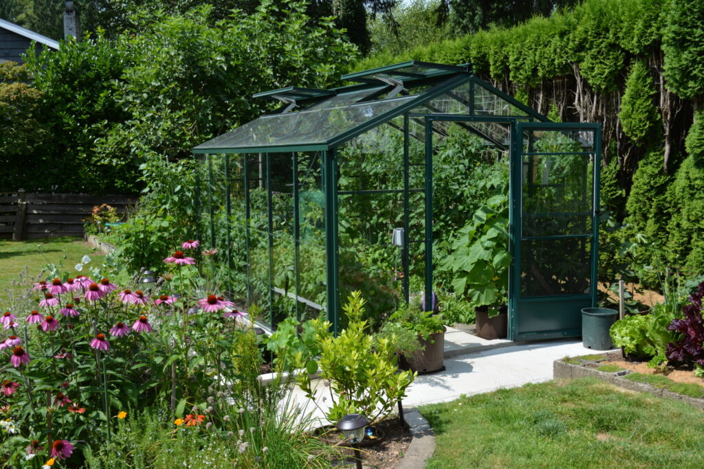 Cross Country Traditional Greenhouse growing lust in summer