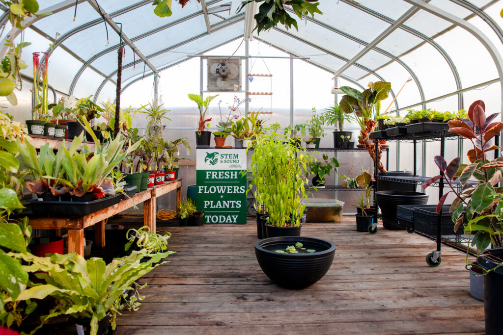 Interior of Stem & Sound's vintage Pacific Greenhouse, full of plant life during a warm summer day