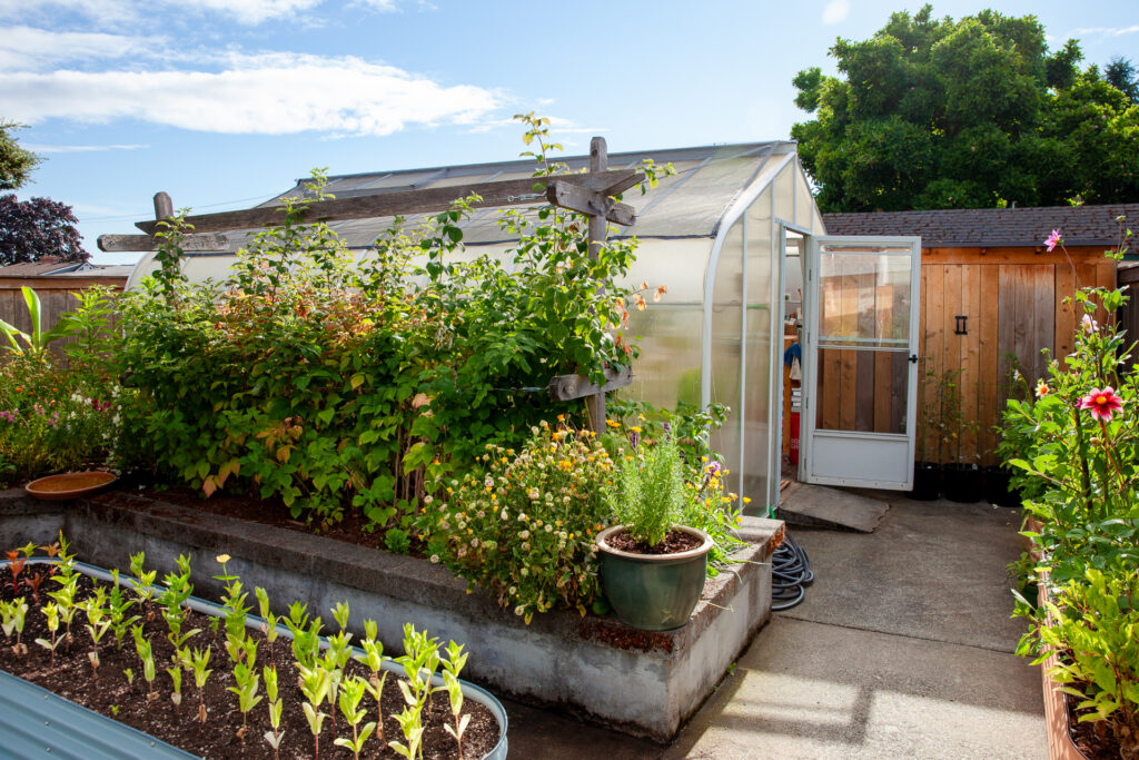 Charley's Cross Country Pacific Greenhouse still going strong 20 years on