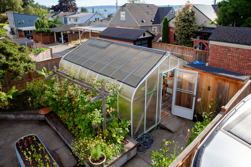 Charley's Cross Country Pacific Greenhouse 12'x16' perfectly positioned in this Seattle urban yard